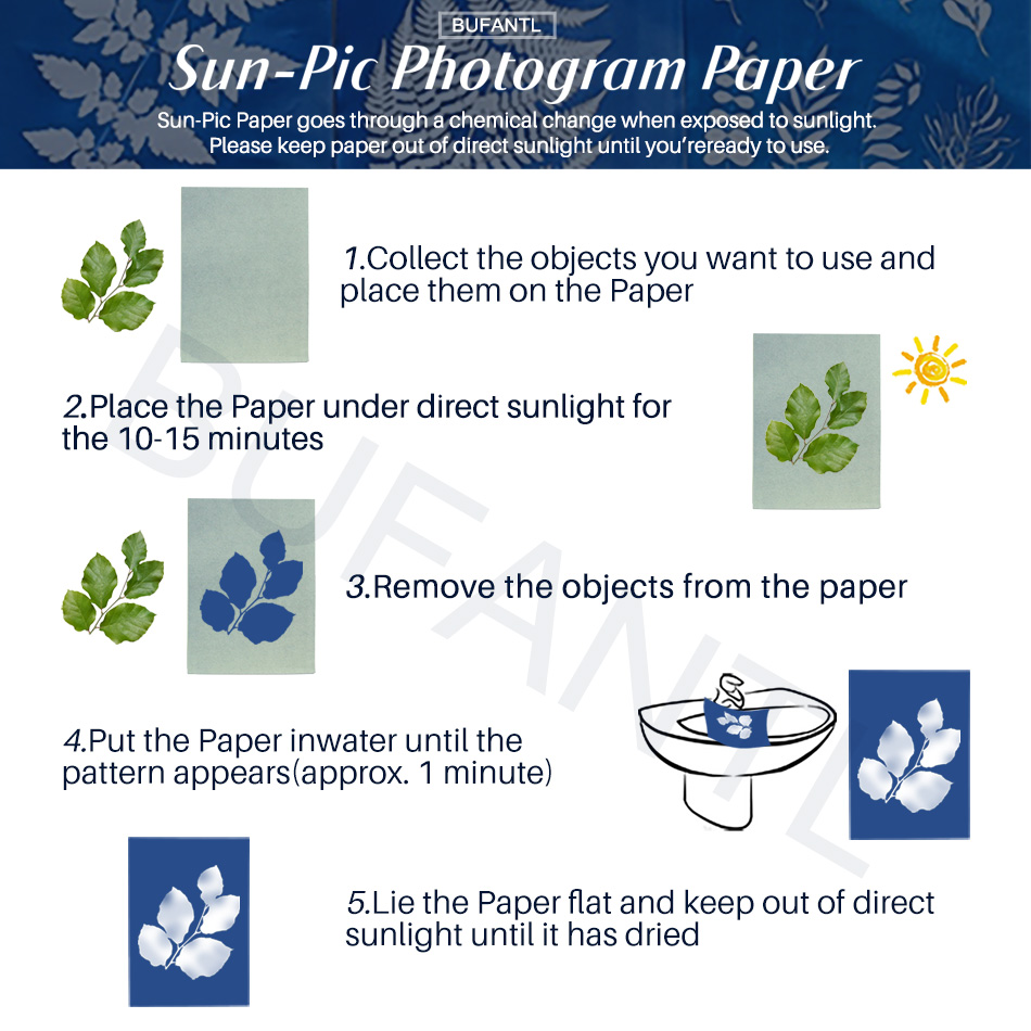 Kertas Cyanotype 12 Lembar Pak - Lighting In Photography For Beginners ulasan dan harga